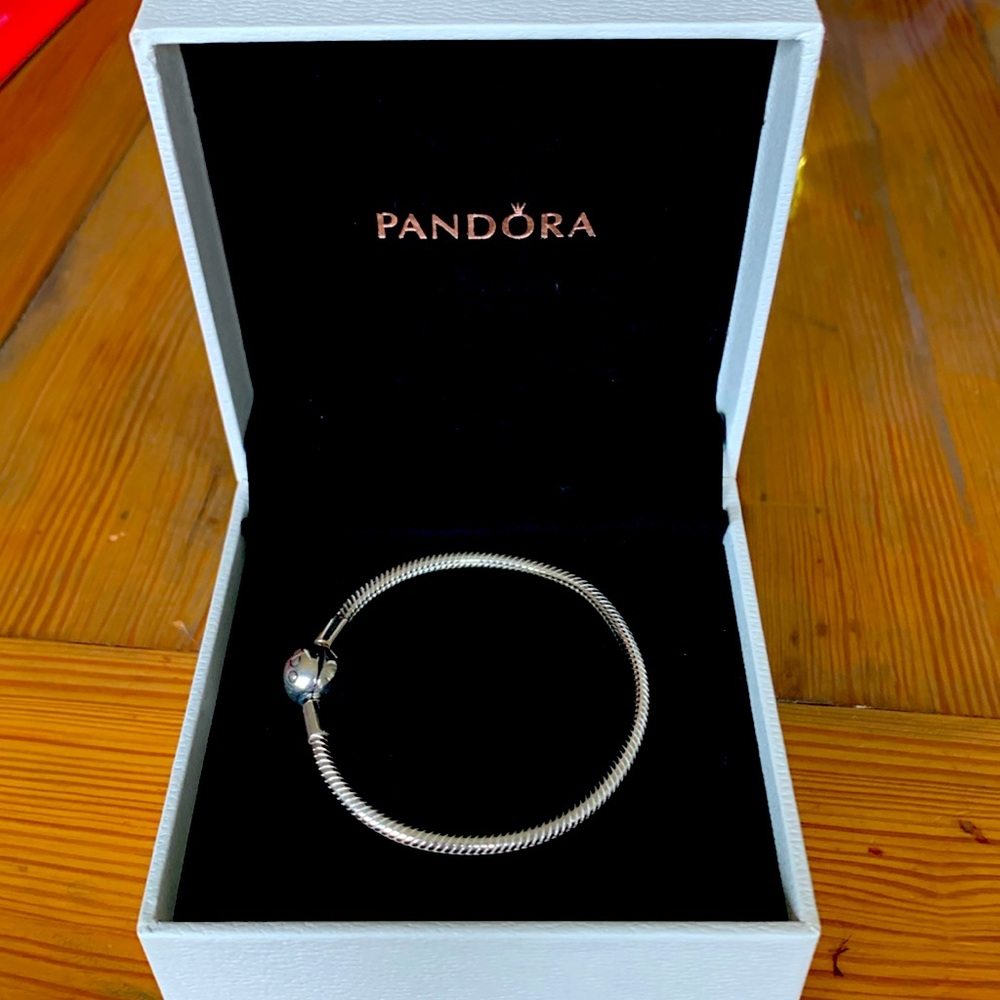 NWOT pandora silver moments snake chain bracelet